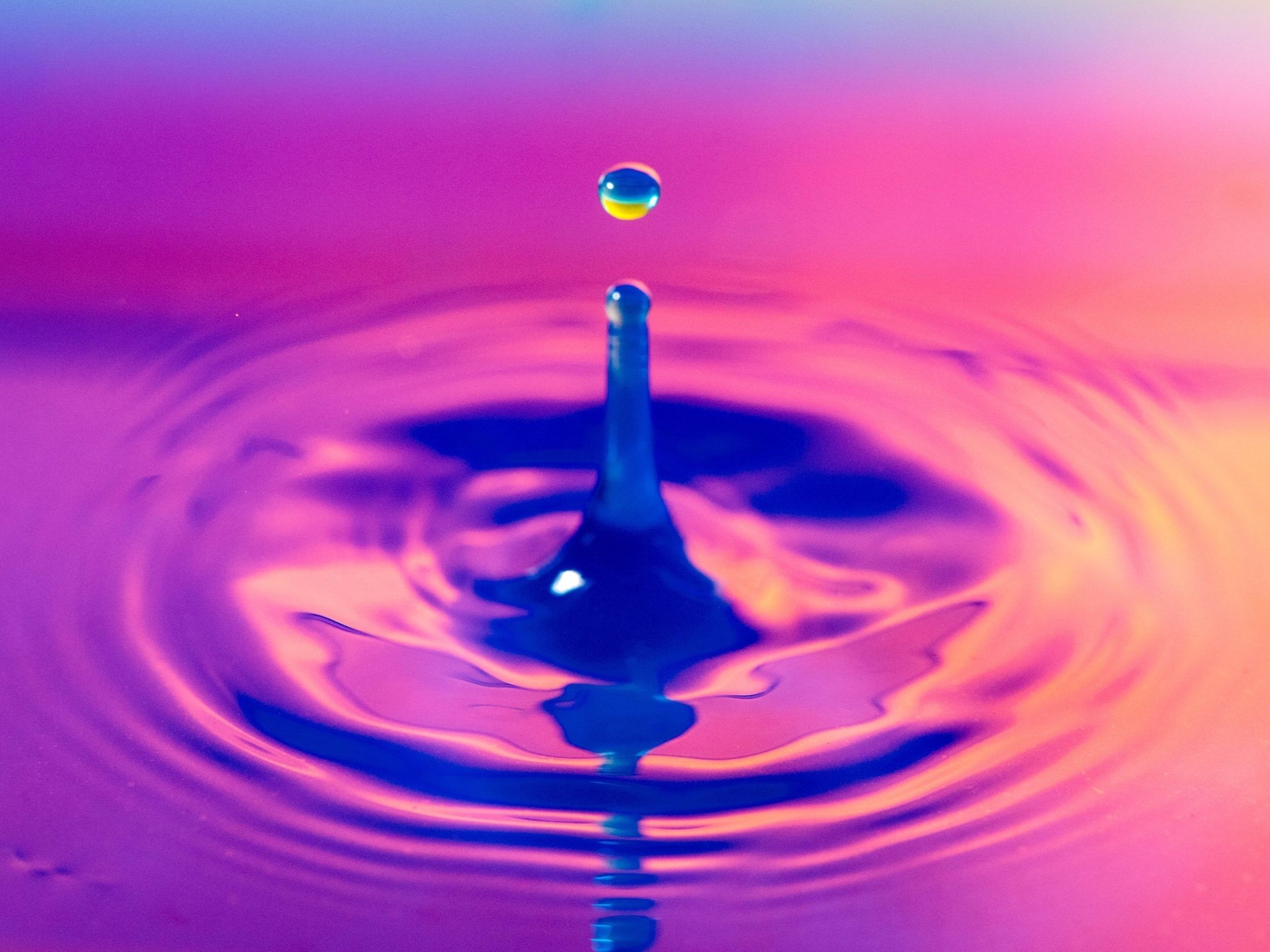 Variably coloured in pink, orange, and blue A drop of water falls into the water, producing ripples.