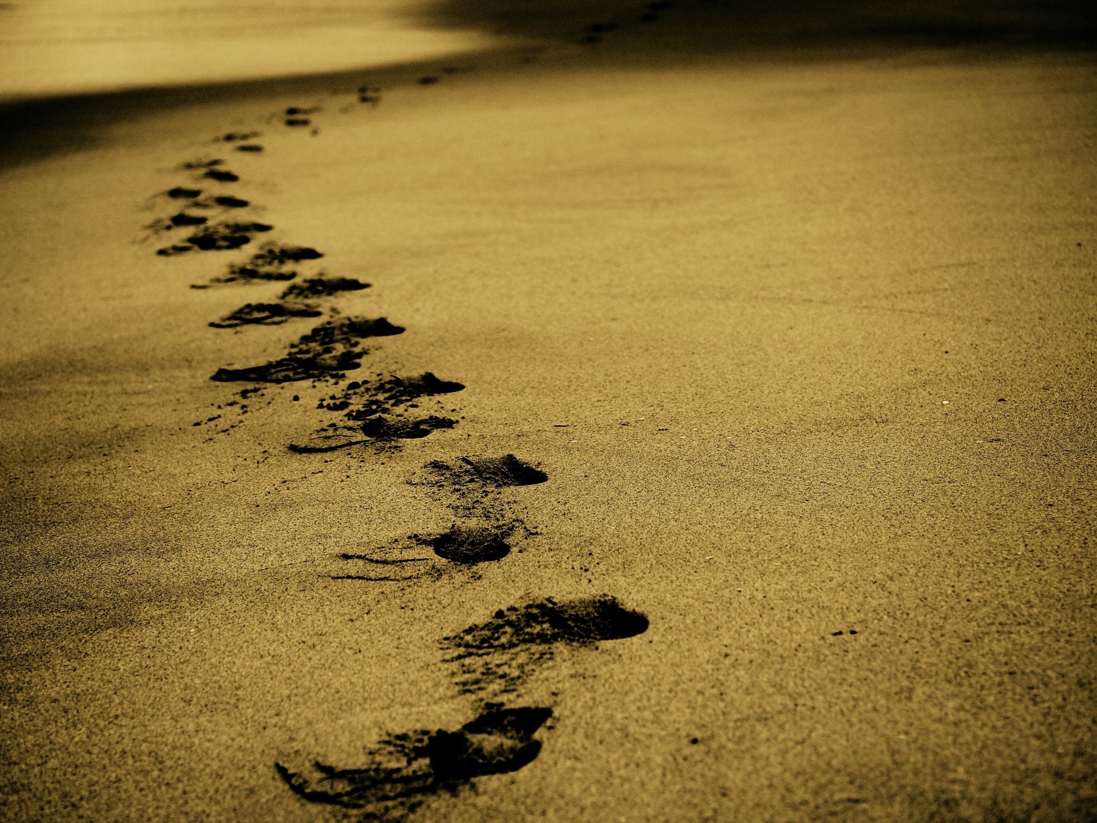 Footprints on a sandy beach.