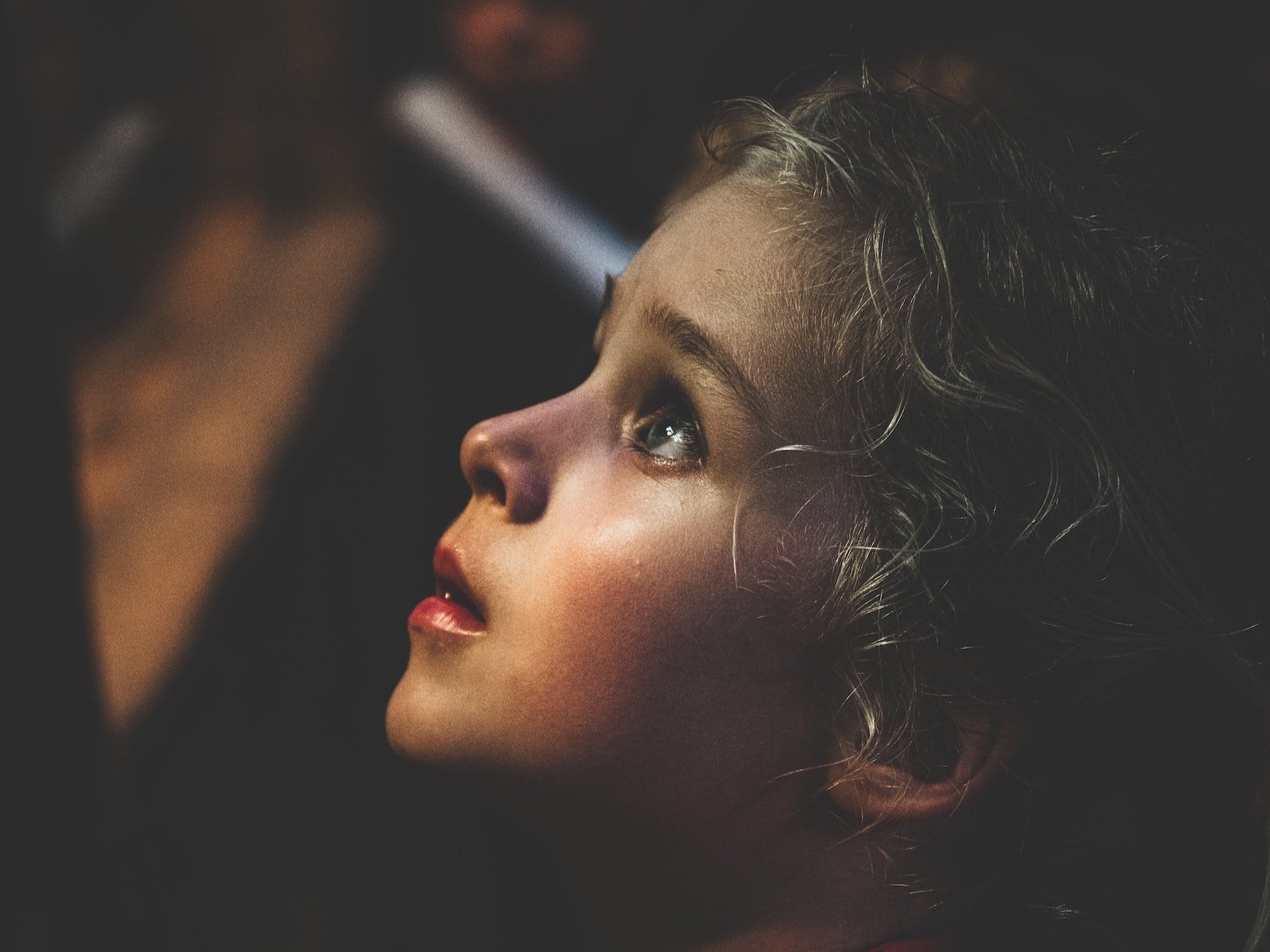 A small child gazing up and admiring