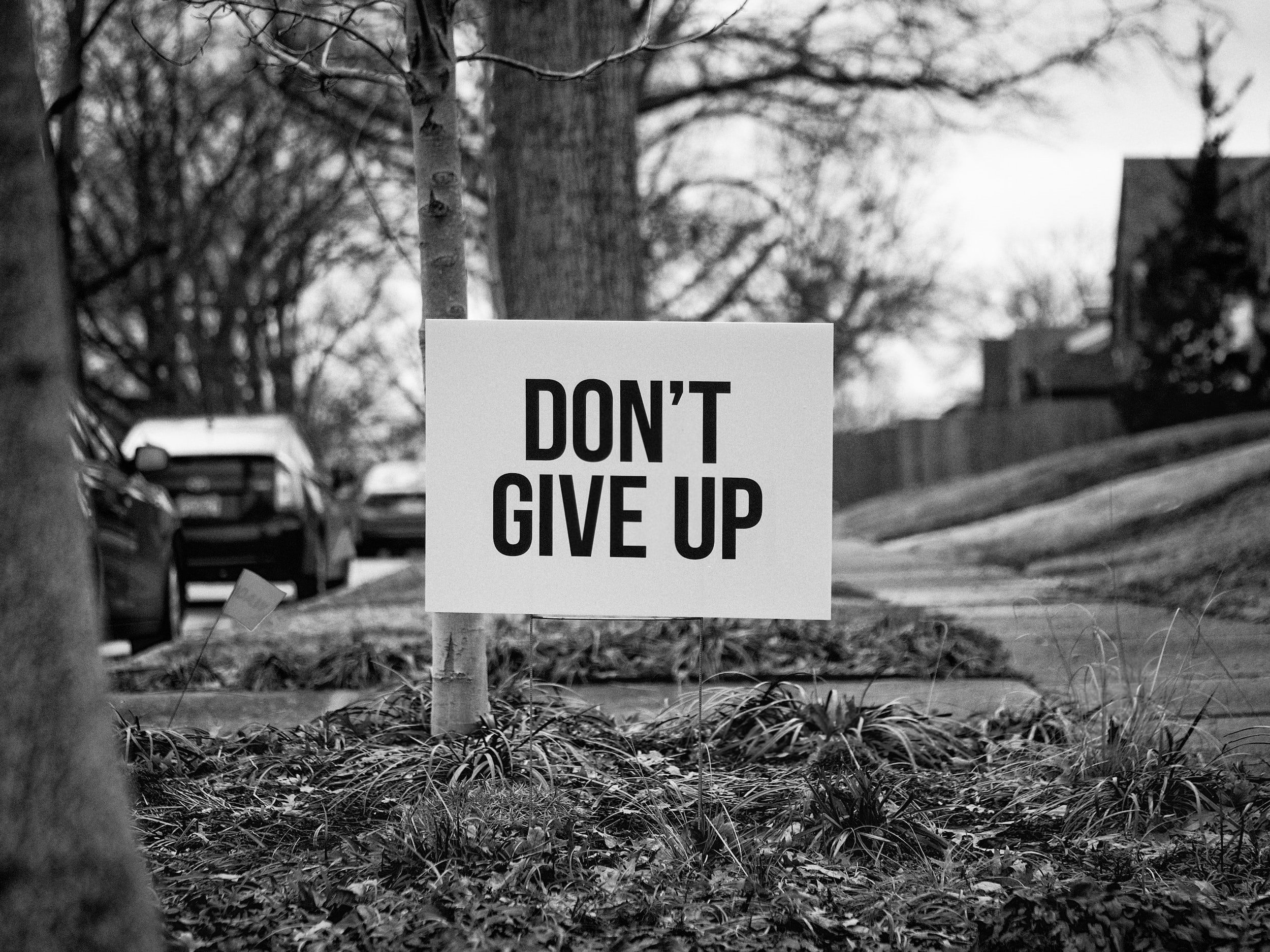 The words "Don't Give Up" were written on a sign attached to a small tree.