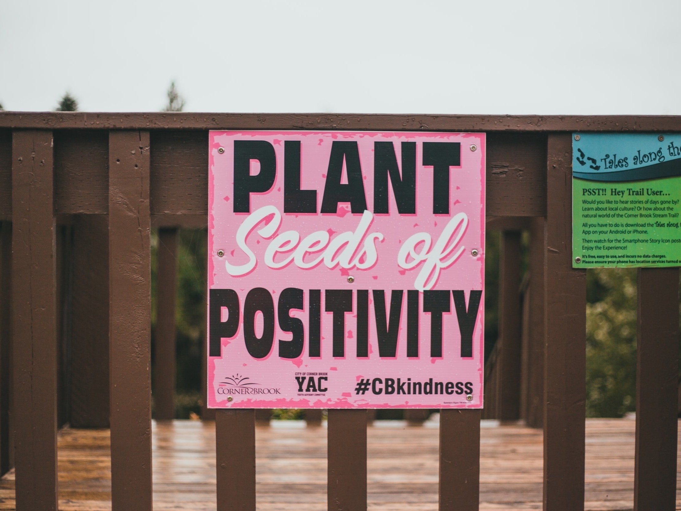 A pink sign with the words "Plant Seeds of Positivity" is attached to a wooden fence.
