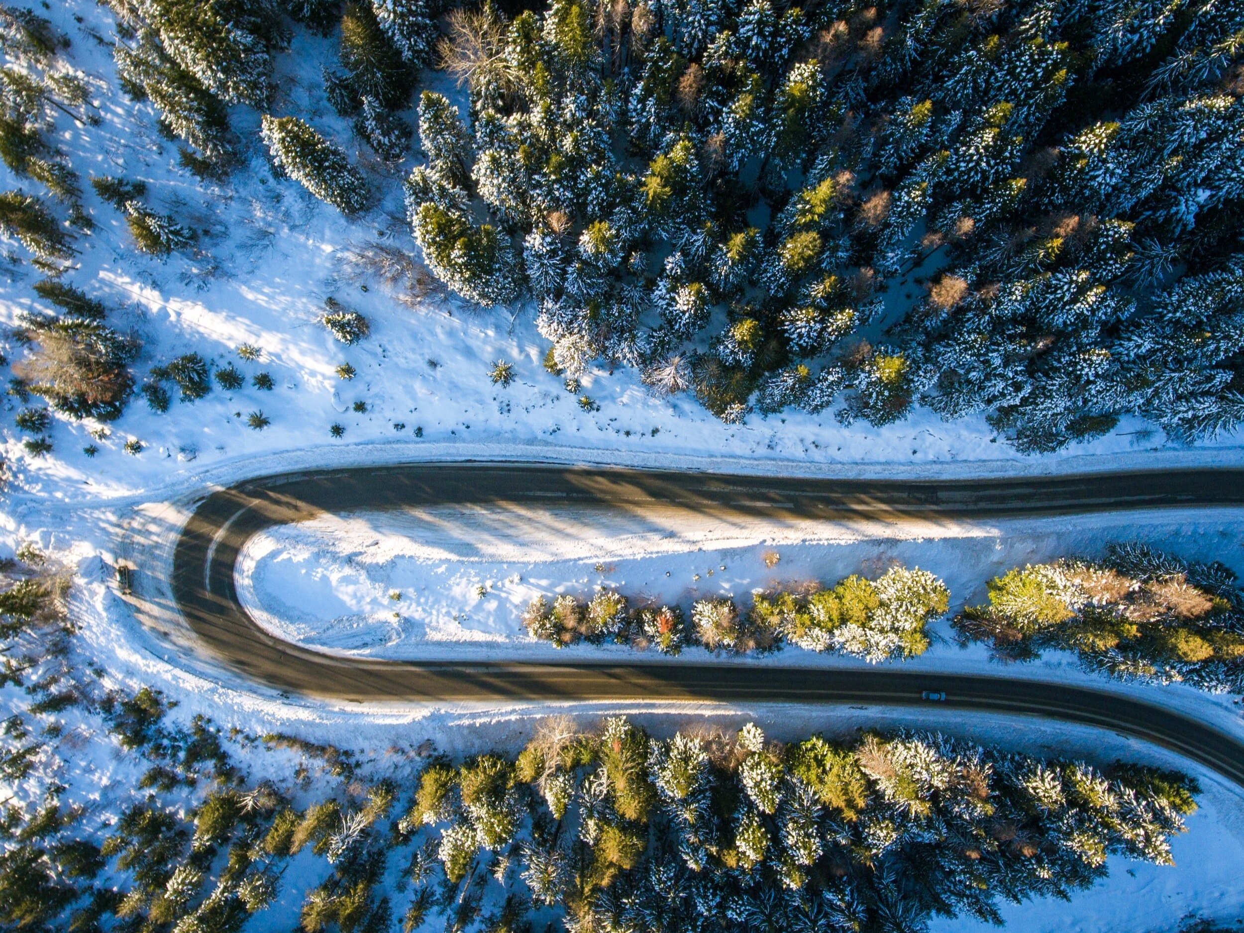 A very quiet, twisting and turning forest road surrounded by snow.