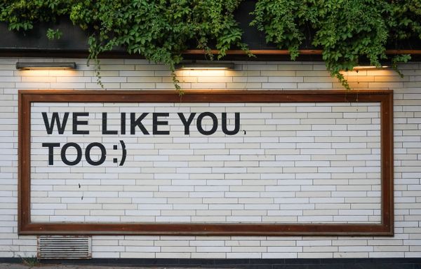 Sign saying 'WE LIKE YOU TOO;-)' on a brick wall with green plants overhead.