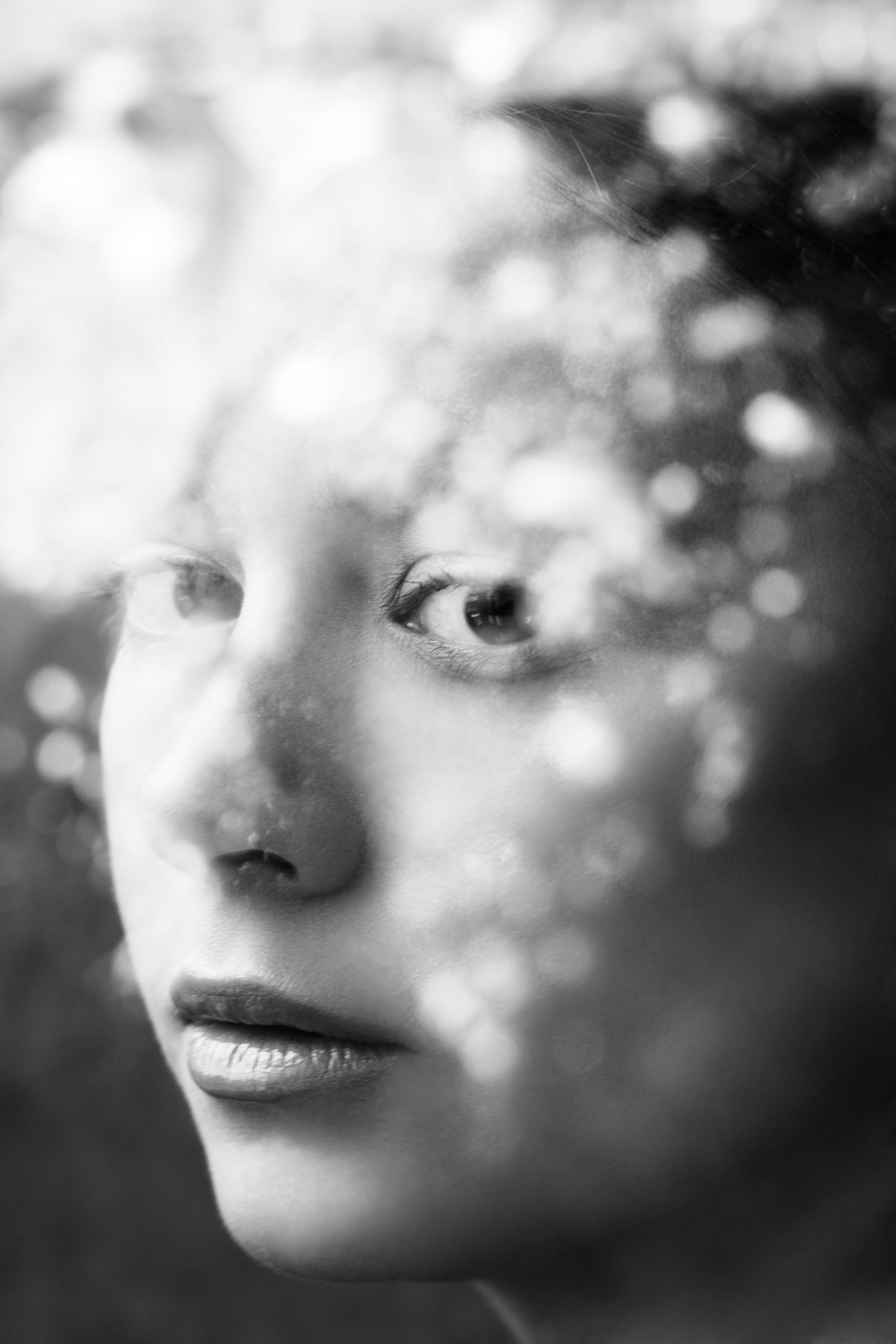 Through The Glass