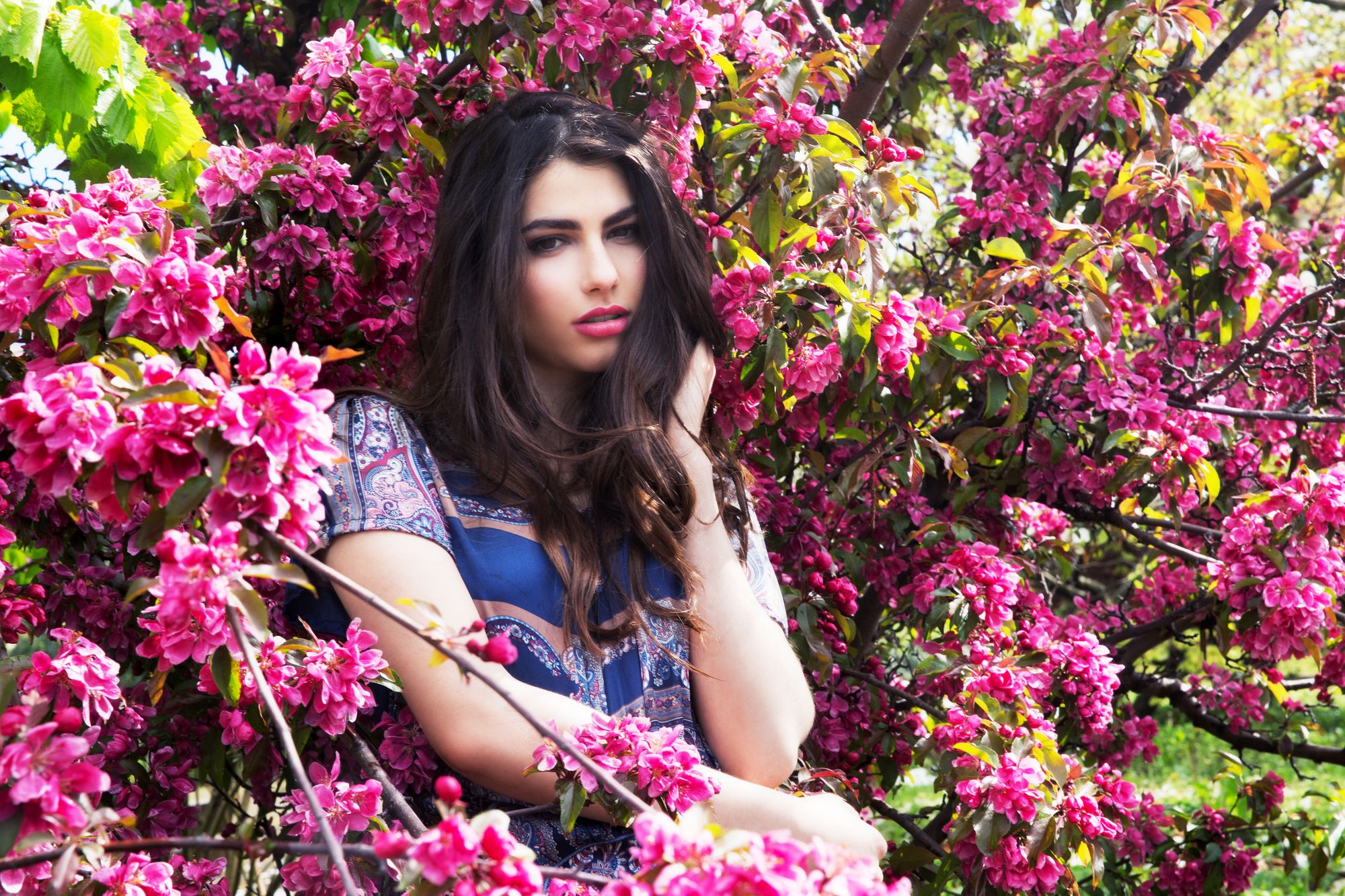Secret Garden