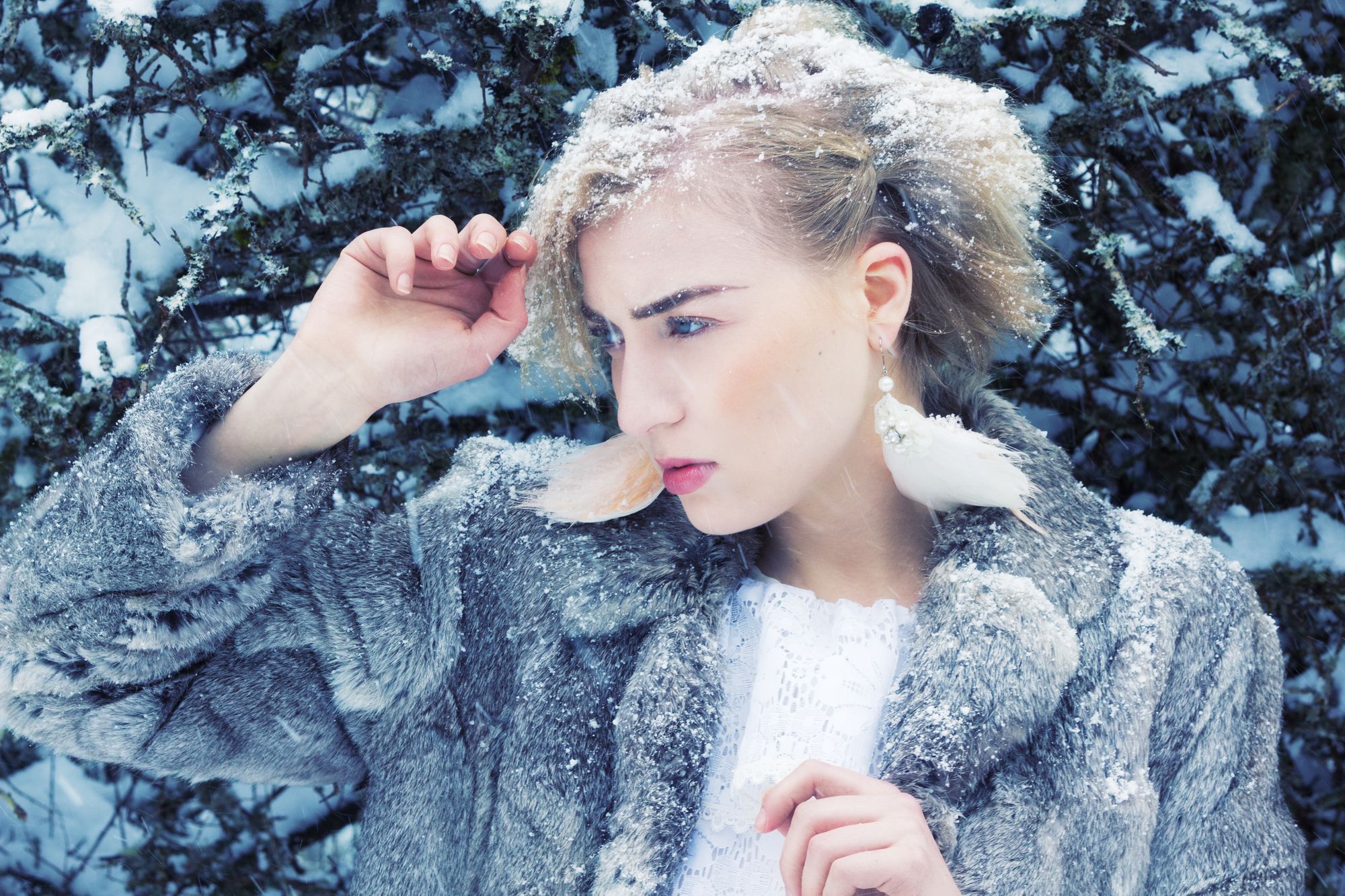 Winter forest