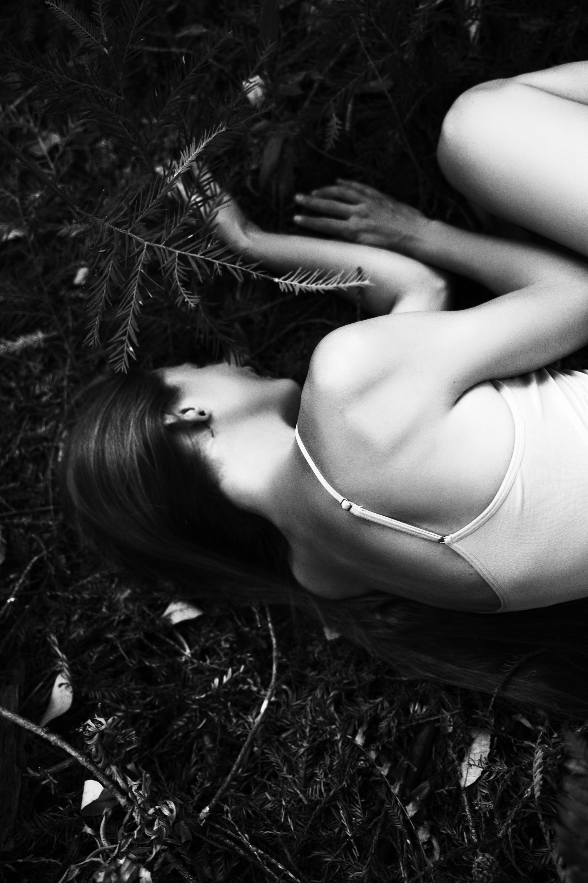Forset