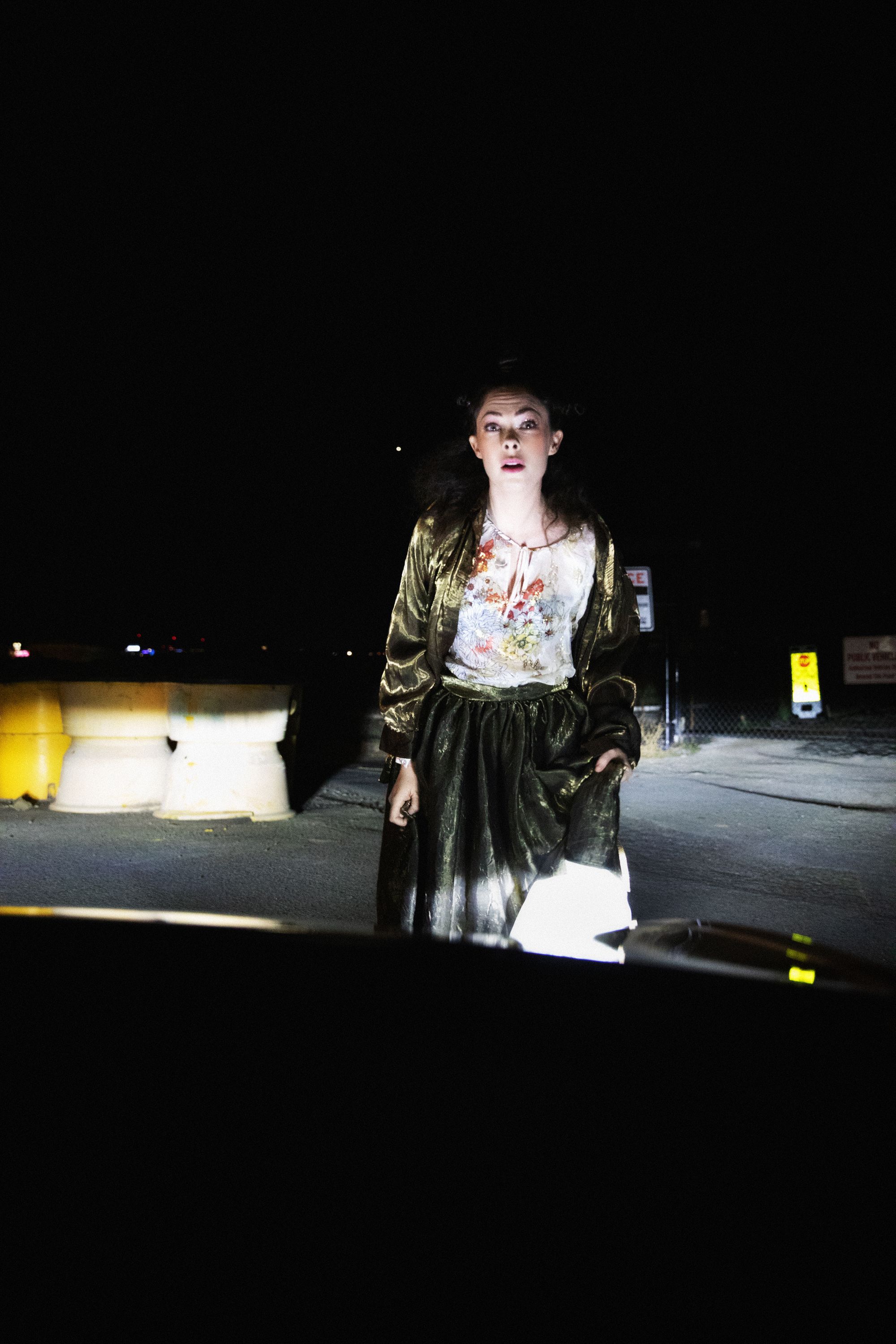 Carlights