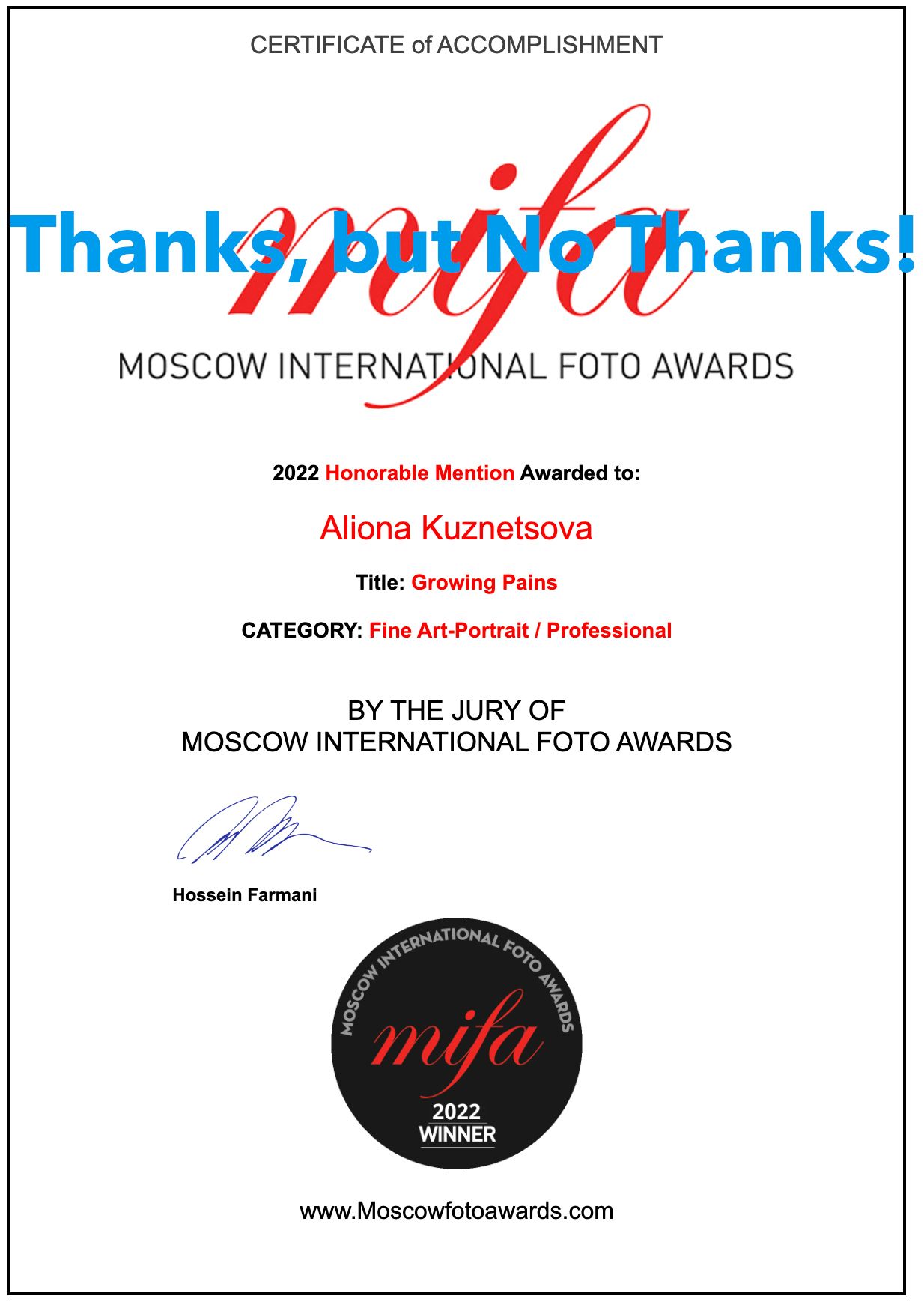 Response to MIFA's Honorable Mention in the Professional Fine Art Category
