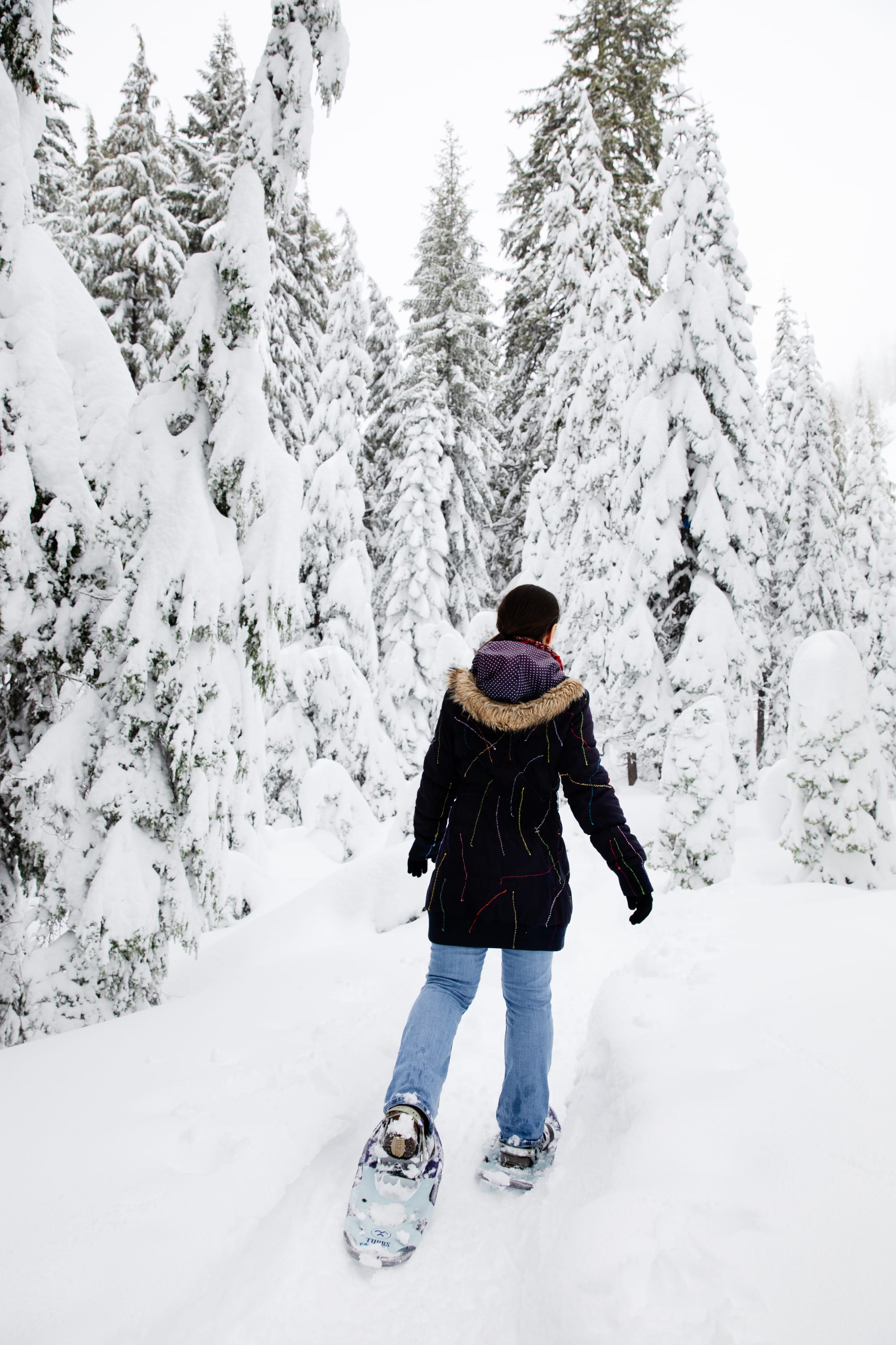 Winter Fun