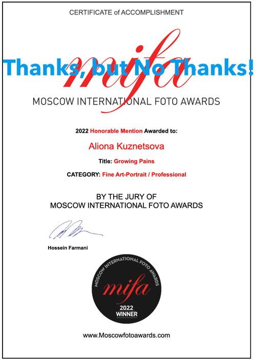 Response to MIFA's Honorable Mention in the Professional Fine Art Category