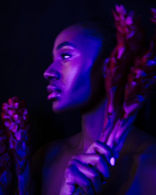 Tropical Night - Ruth