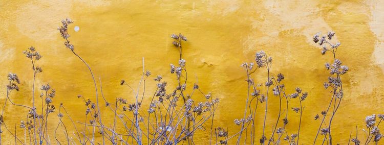 First Post of 2024.2