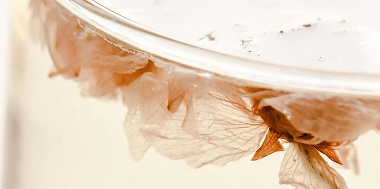 AI and Designer-as-god