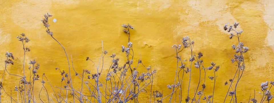 First Post of 2024.2