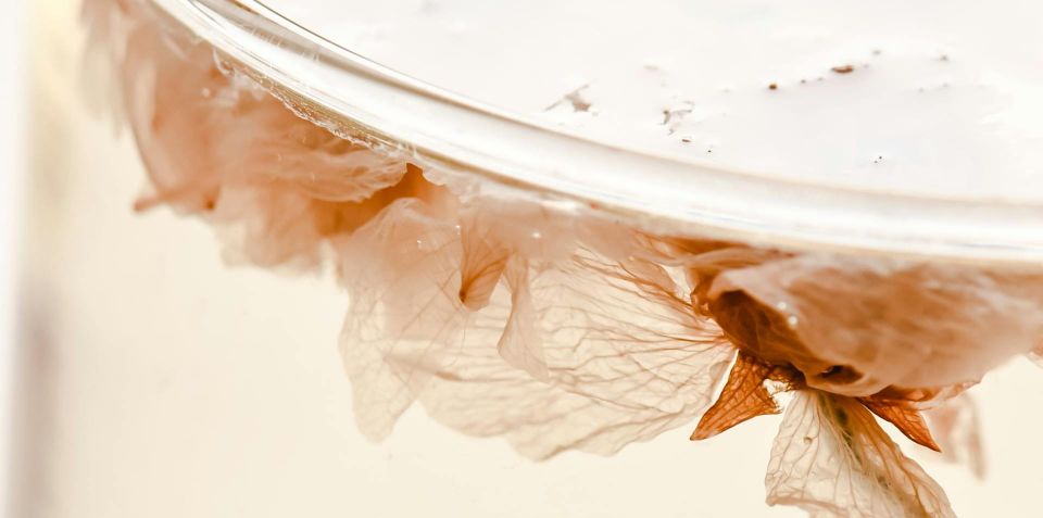 AI and Designer-as-god