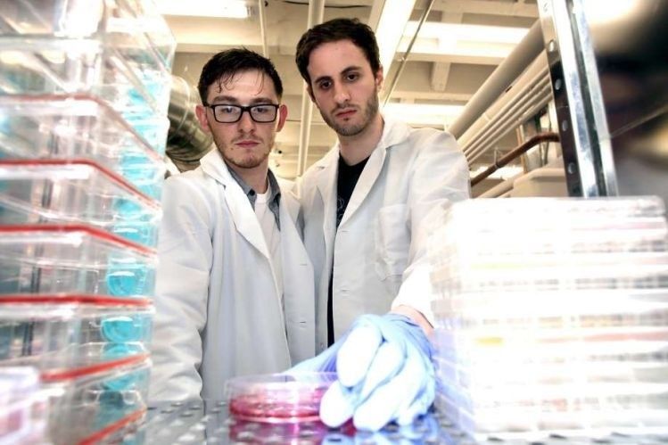 Raising Capital (And Saving The Planet) With Lab-Grown Fish