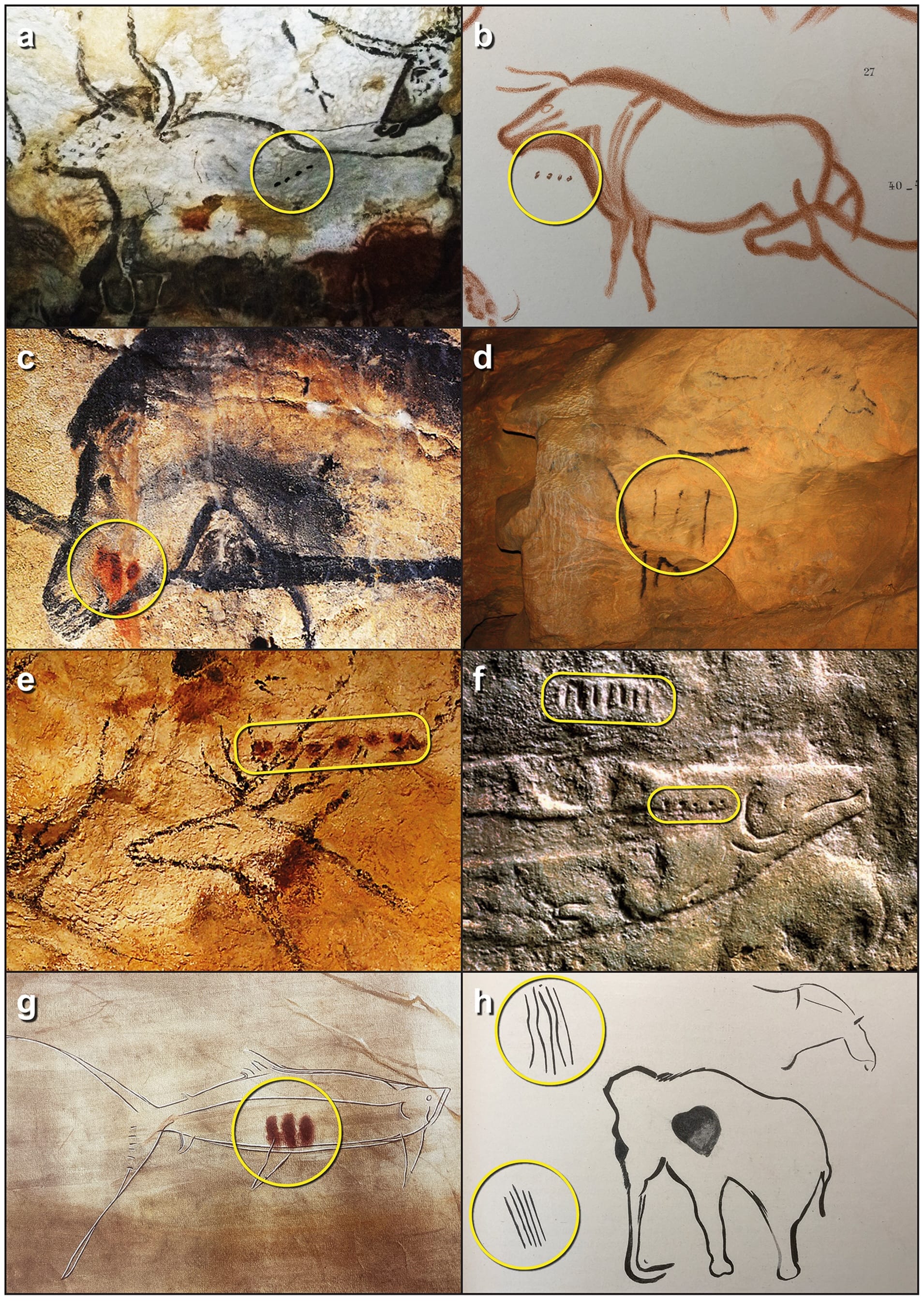 Eight images of animals depicted in cave art, with annotations to highlight sequences of dots, lines and other marks