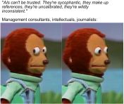 6 (Potential) Misconceptions about AI Intellectuals