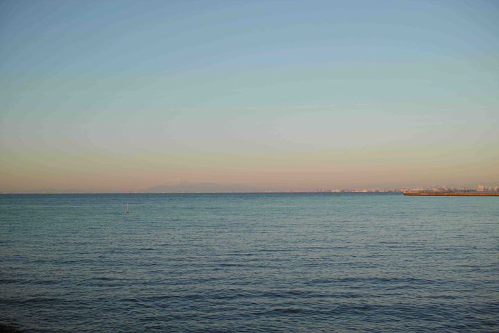 続、百花斉放百家争鳴