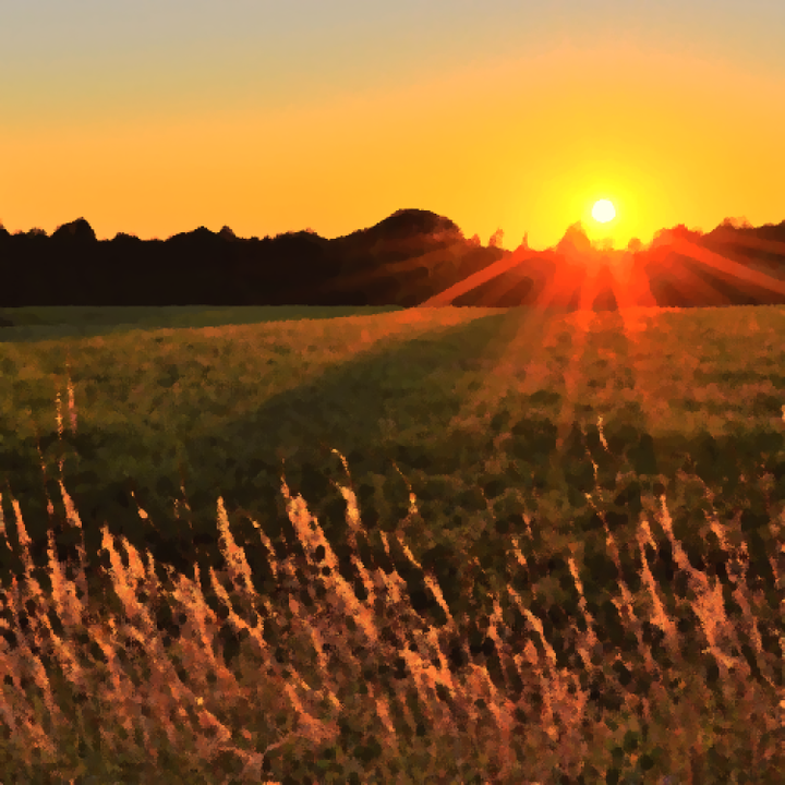 Up With the Morning Sun