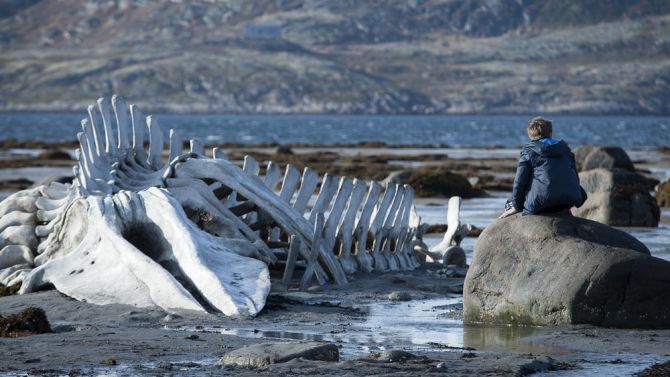 Rusya’nın barışamadığı ödüllü filmi: Leviathan