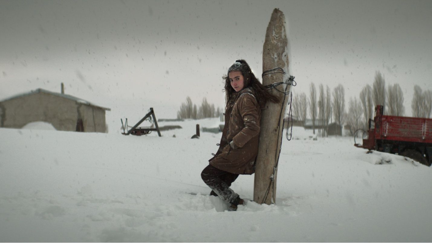 KURU OTLAR ÜSTÜNE (Nuri Bilge Ceylan, 2023).