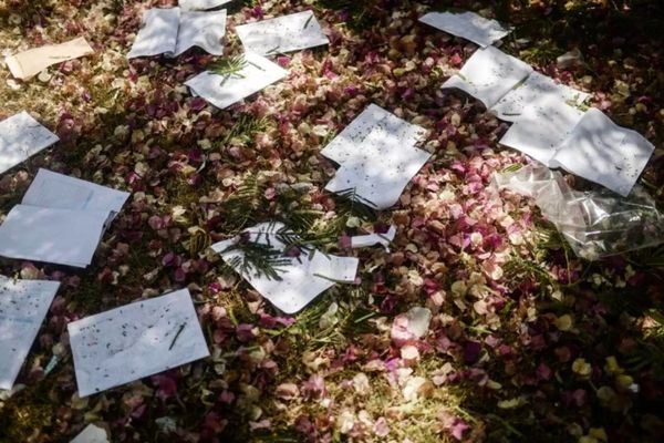 İsrail'in 2 Ağustos 2014'te Gazze'ye düzenlediği hava saldırısında hasar gören Gazze İslam Üniversitesi'nin bahçesinde etrafa