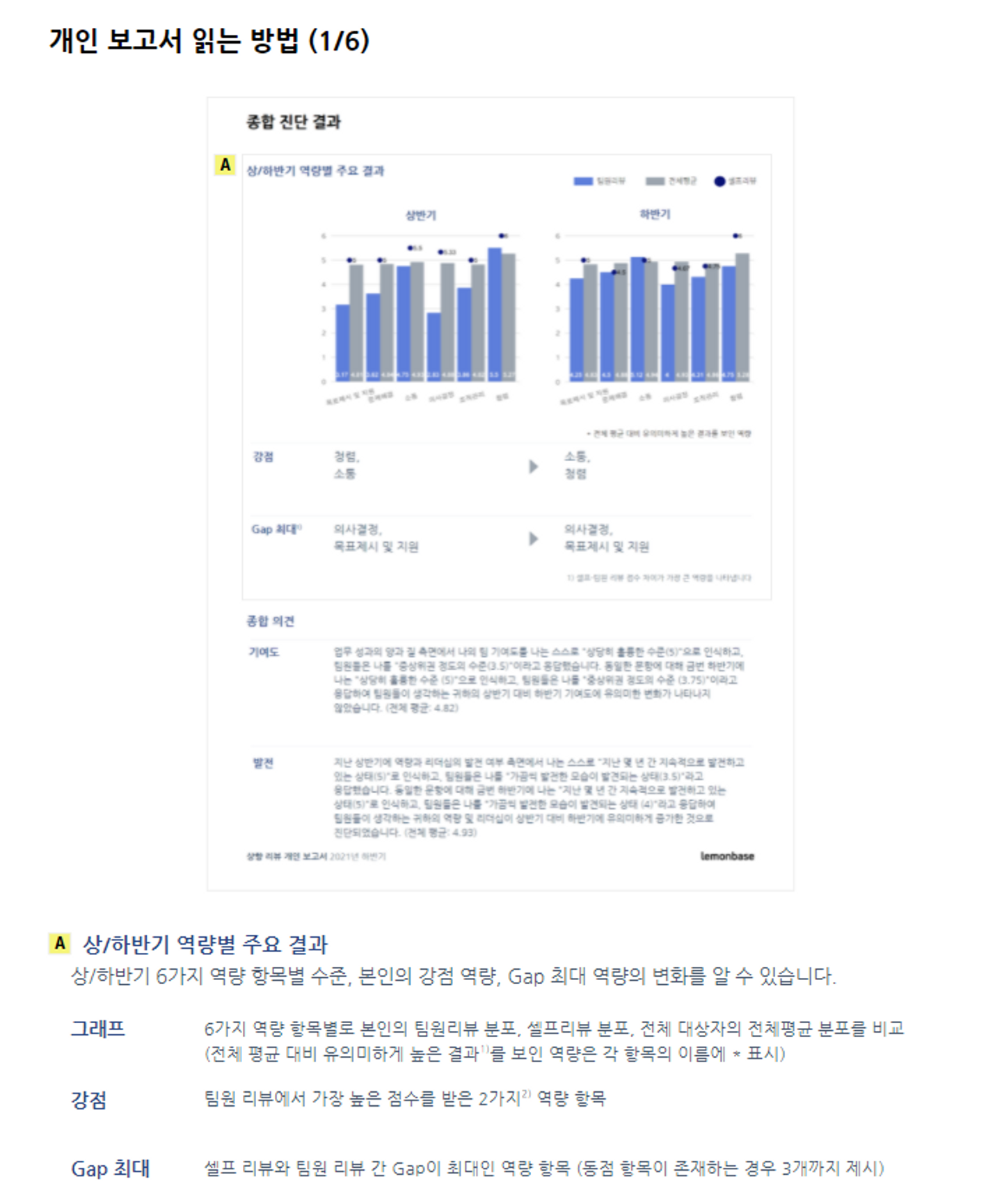 레몬베이스에서 제공하는 개인 보고서 해석 가이드 중 일부