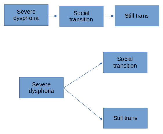 Two diagrams. 1) Three text boxes connected from left to right by arrows. Severe dysphoria connected to social transition connected to still being trans. 2) Three boxes, with the box on the left, Severe dysphoria, connected independently to two on the right, Social transition and Still trans.