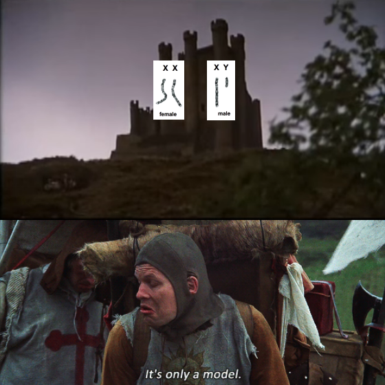 Two panels. 1) A castle on a hill with diagrams of XX and XY chromosomes imposed over it. 2) A man in medieval costume looking disgusted and saying "It's only a model."