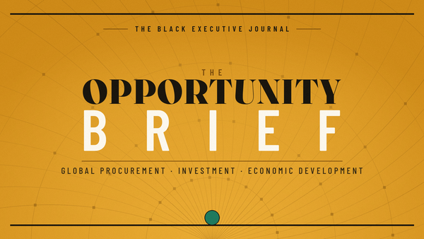 The Opportunity Brief