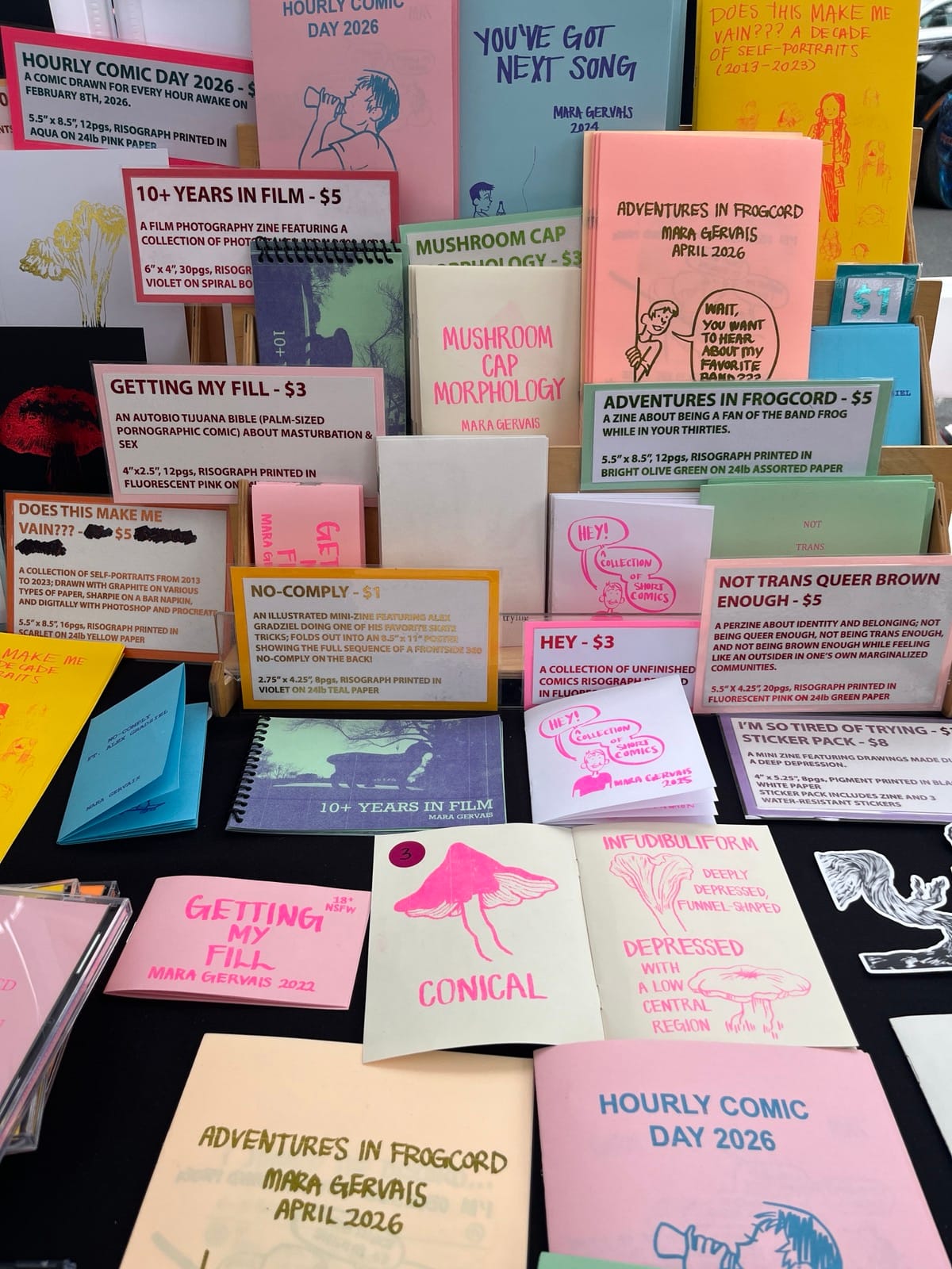 A table full of different colored zines, with signs explaining each one and a price. 