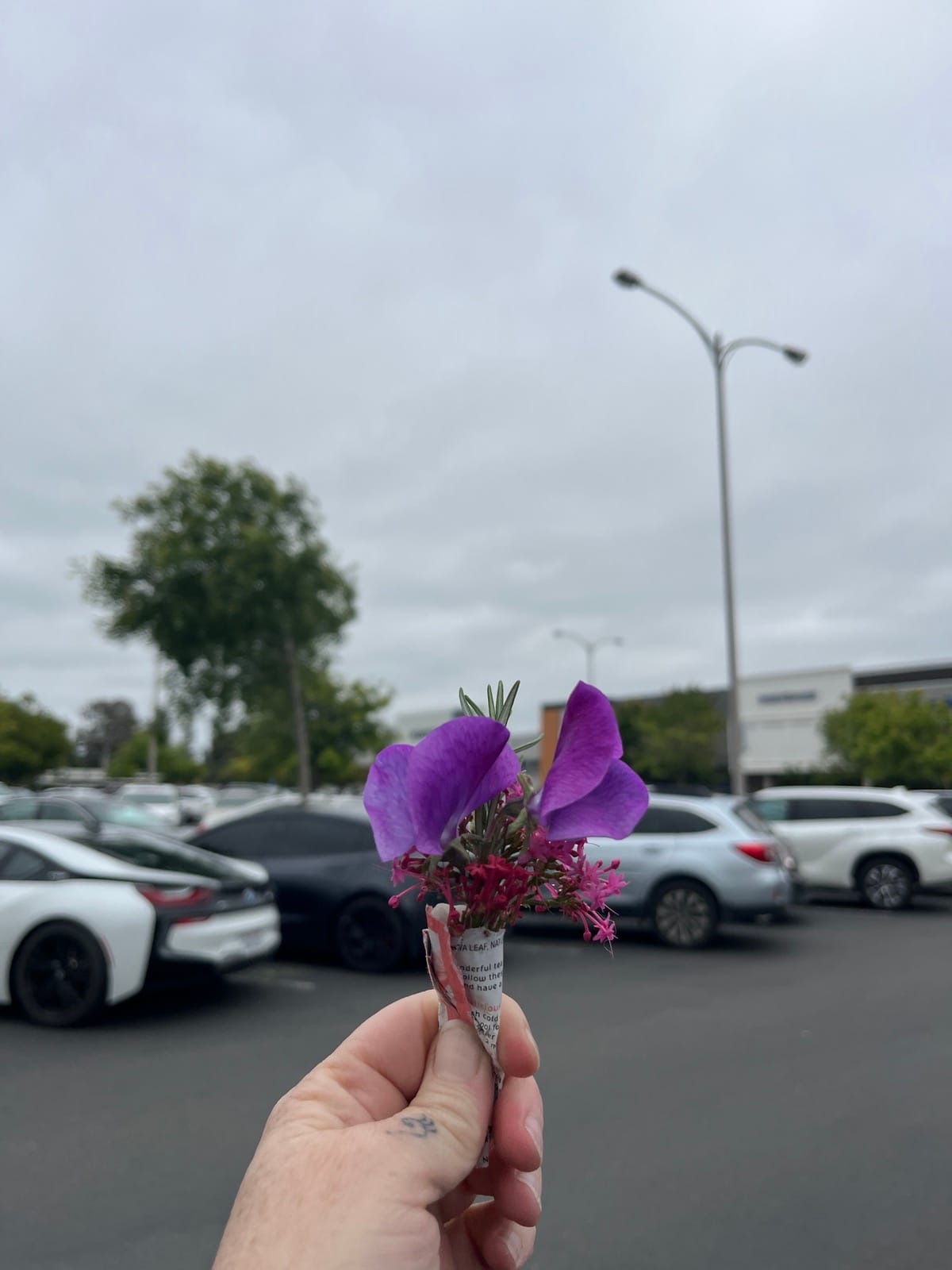 A white hand in the foreground holds a tiny bouquet of flowers, bright purple sweet peas, a green sprig of rosemary and some tiny pink flowers, all wrapped up in a label with words on it. In the background: a mall parking lot full of cars and tall lampposts.