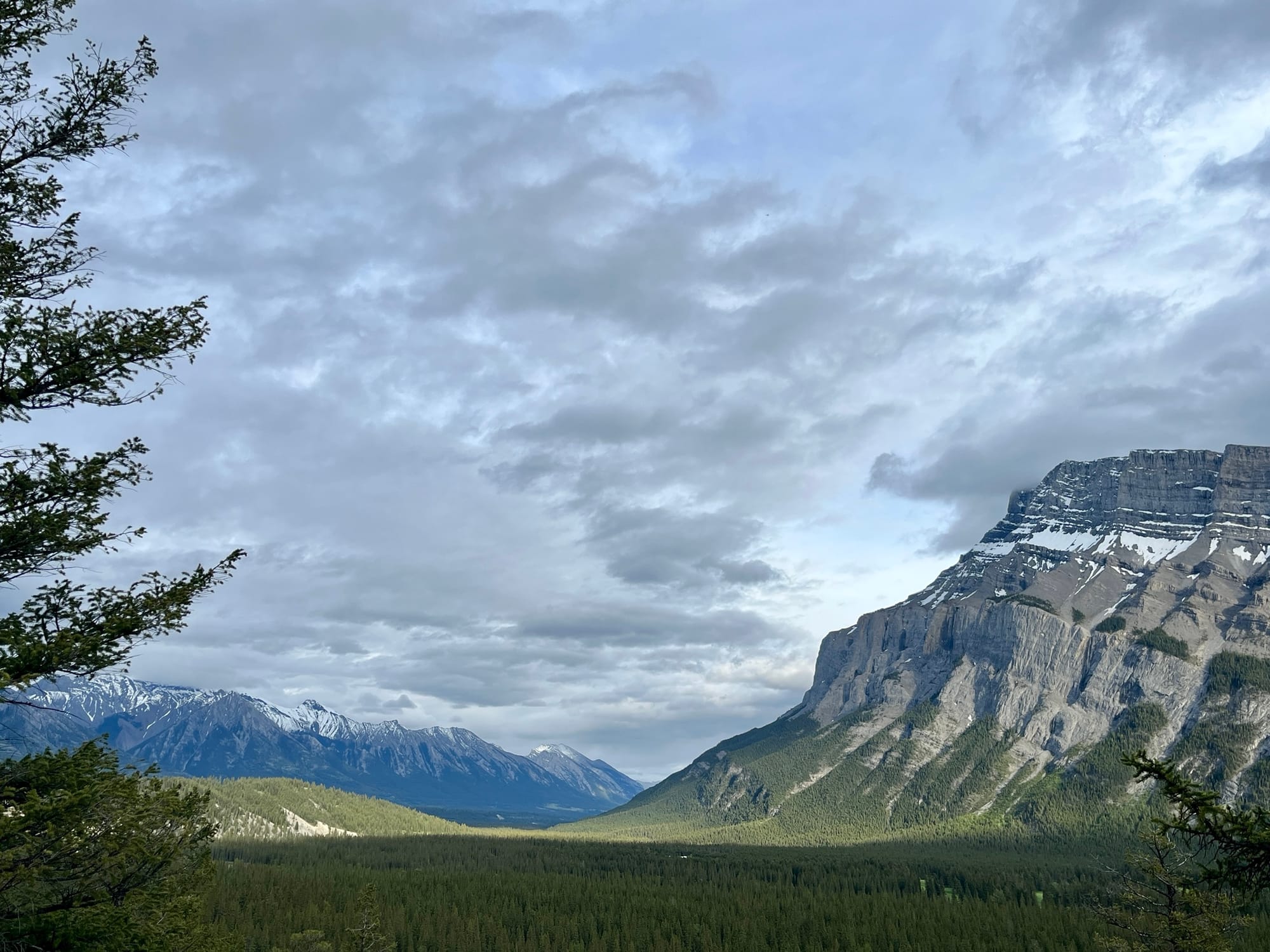 A sweeping view of the Canadian Rockies featuring a dramatic sky with clouds. A green, sun-drenched forest can be seen toward the bottom of the image with snow-capped mountains to the right and behind it.