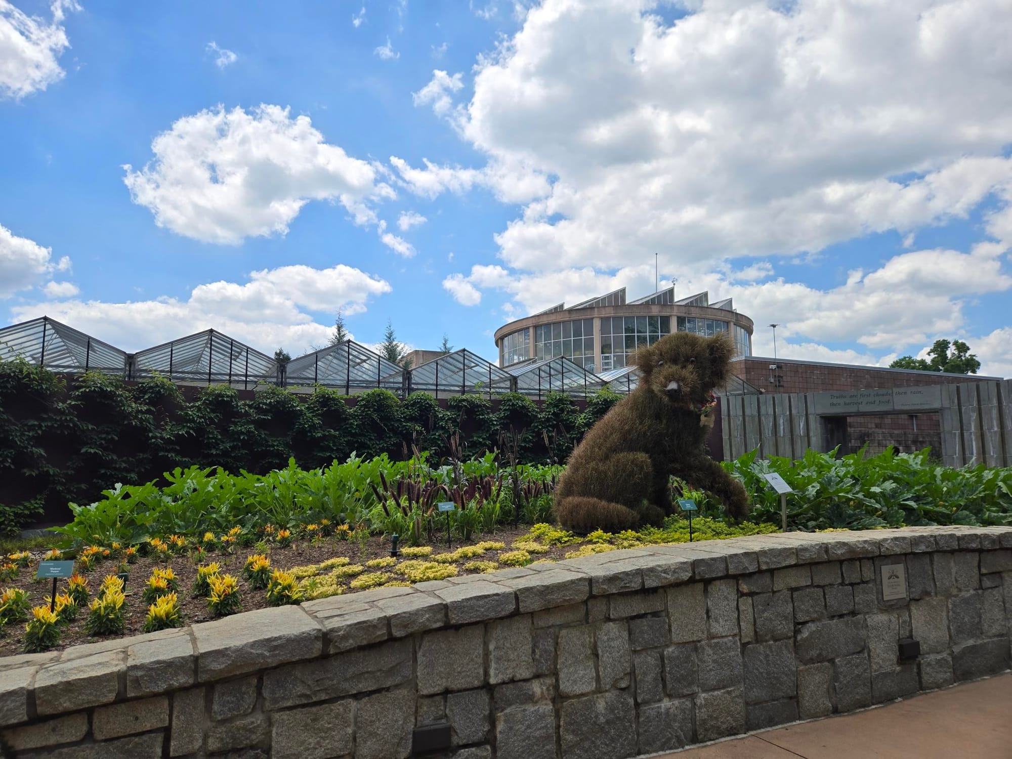 A blue sky with white puffy clouds, greenhouses and a building in the background, with a stone wall and garden in the foreground, including a large bush shaped like a dog.