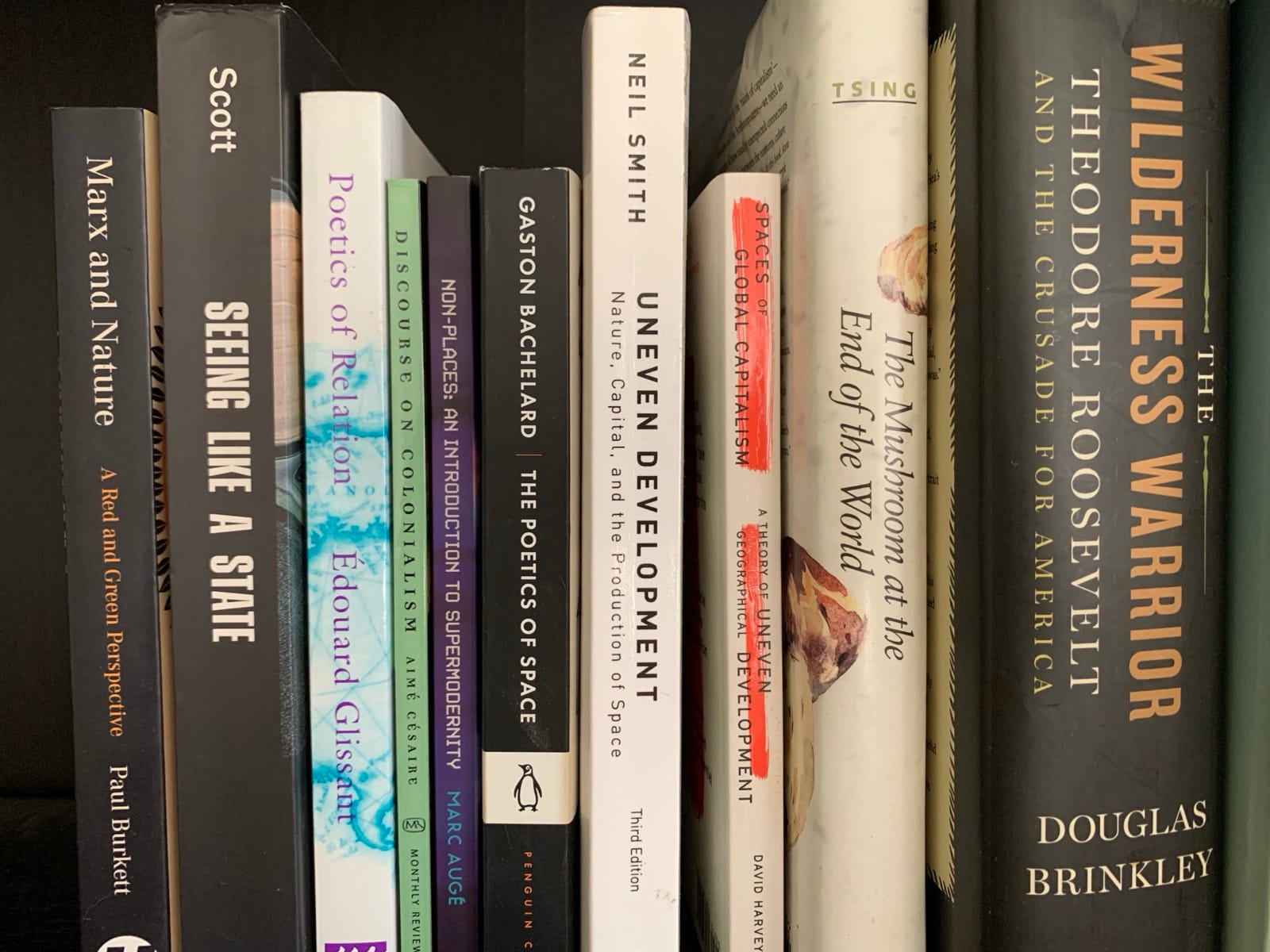 A row of books related to geography in some shape or form. James C. Scott. Edouard Glissant. Neil Smith and David Harvey. I am not beating the geography allegations.