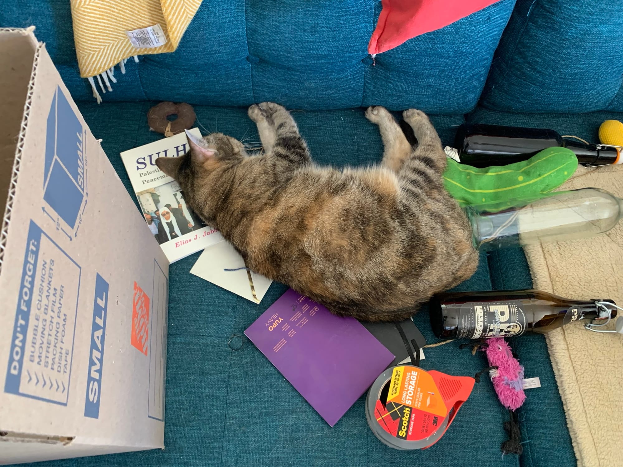 Image of a grey and copper cat lounging on a teal sofa among moving supplies like boxes and Scotch tape.