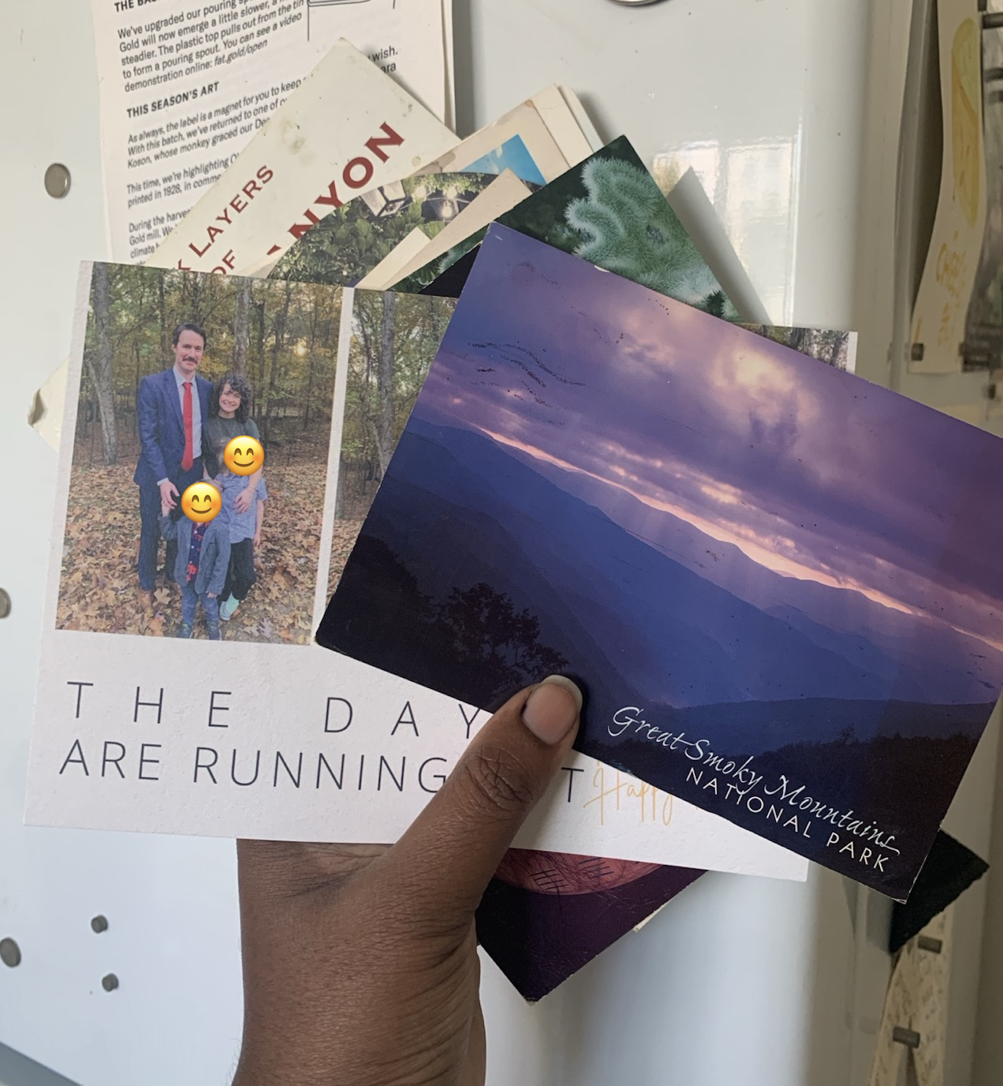 Close-up photo of a black hand holding two postcards. On the left is a holiday card from Maggie Mertens and on the right is a scenic view of the Great Smoky Mountains National Park sent by Latria.