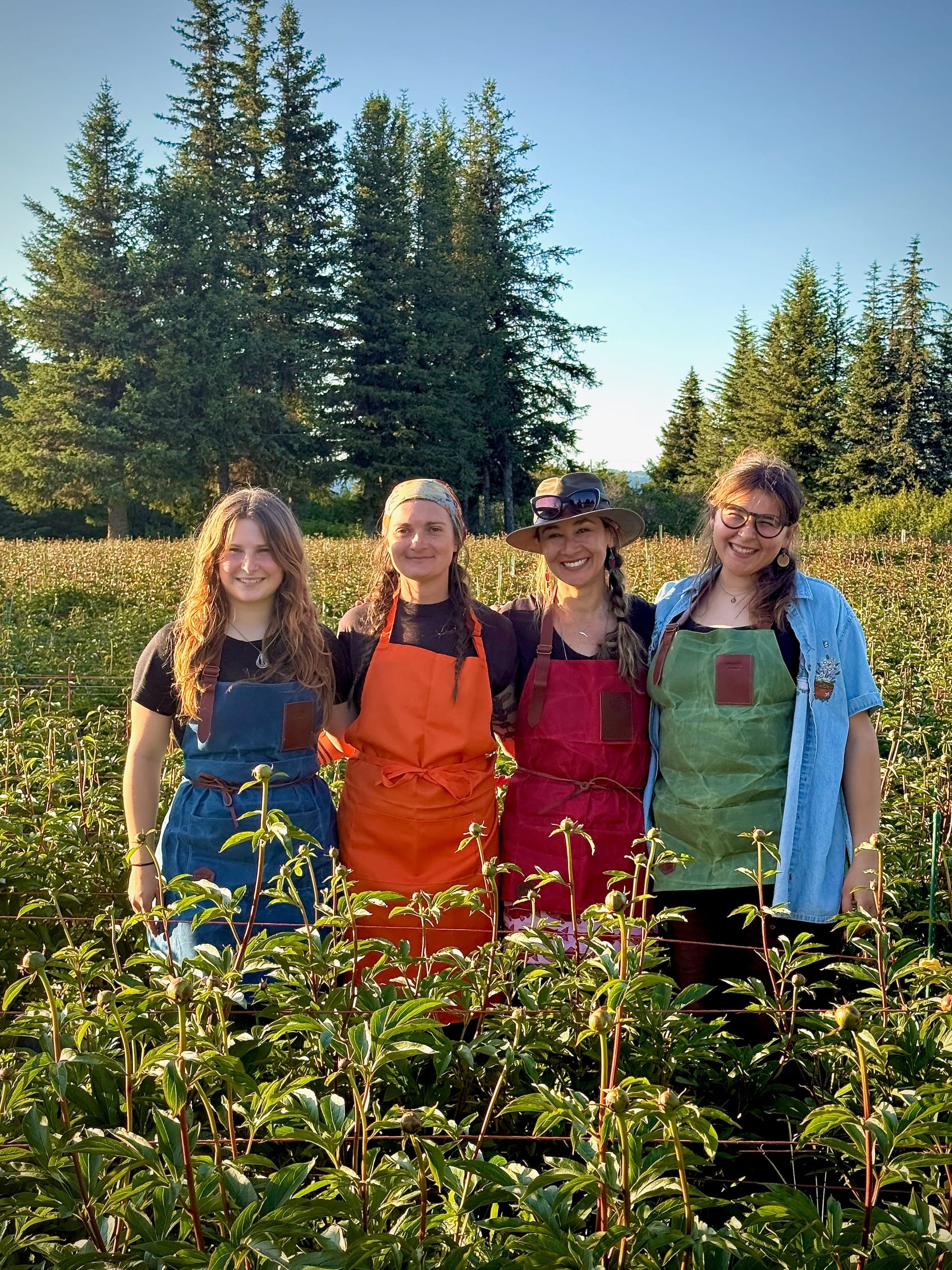 Four women stand in a peony field. Each wear a different colored apron, blue, orange, red, and green. They all smile at the camera and have arms around each other's shoulders.