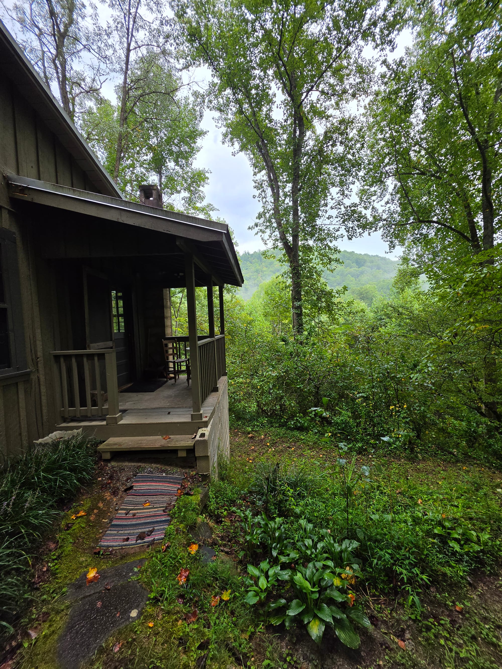 A cabin with olive green siding sits in the foreground, surrounded by tall trees. In the background a tree-covered mountain sits shrouded in the mist.