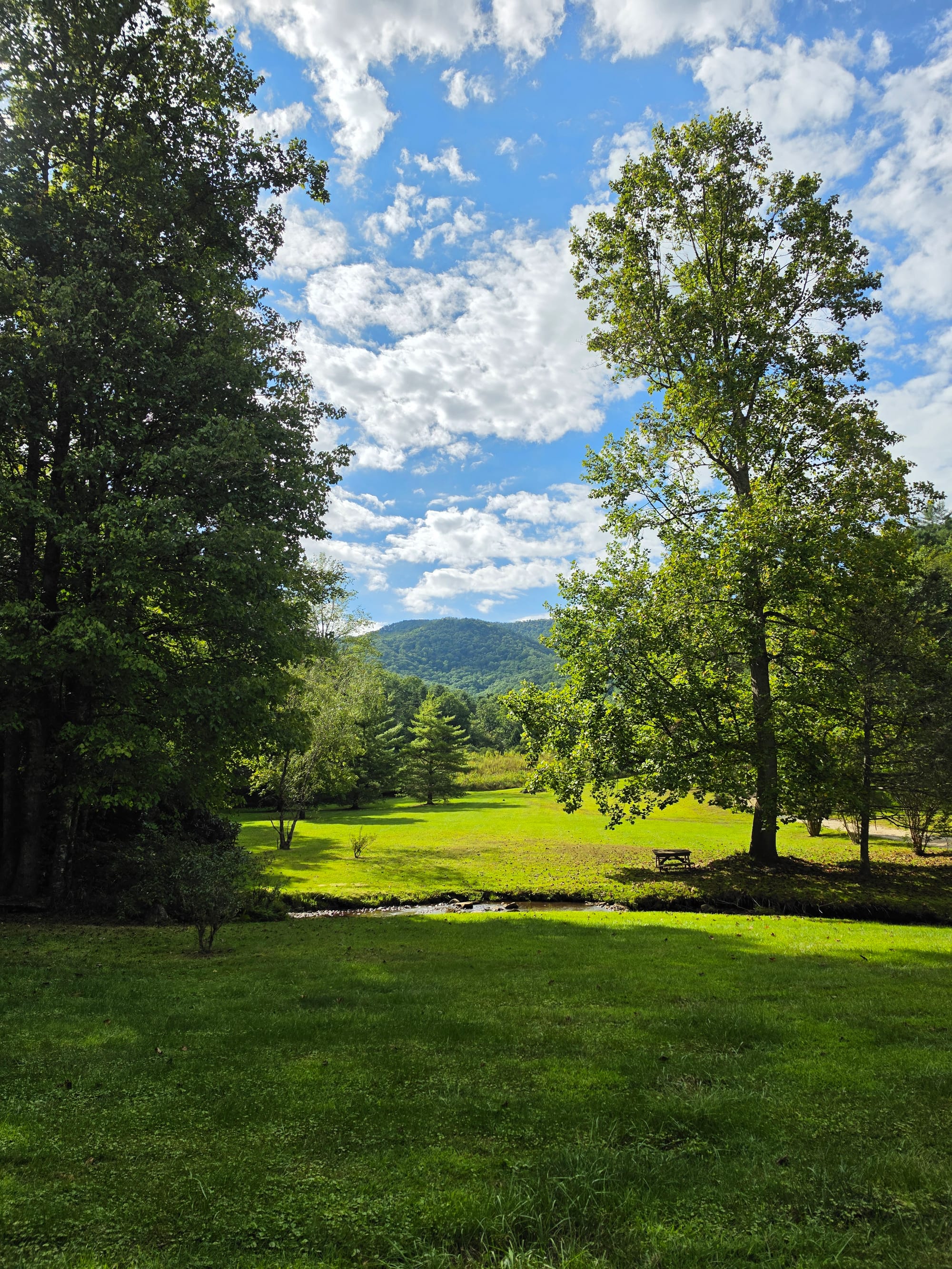 Landscape photo of a grassy clearing, a small stream, mature trees, and tree-covered mountains, all under a partly cloudy blue sky at Hambidge.