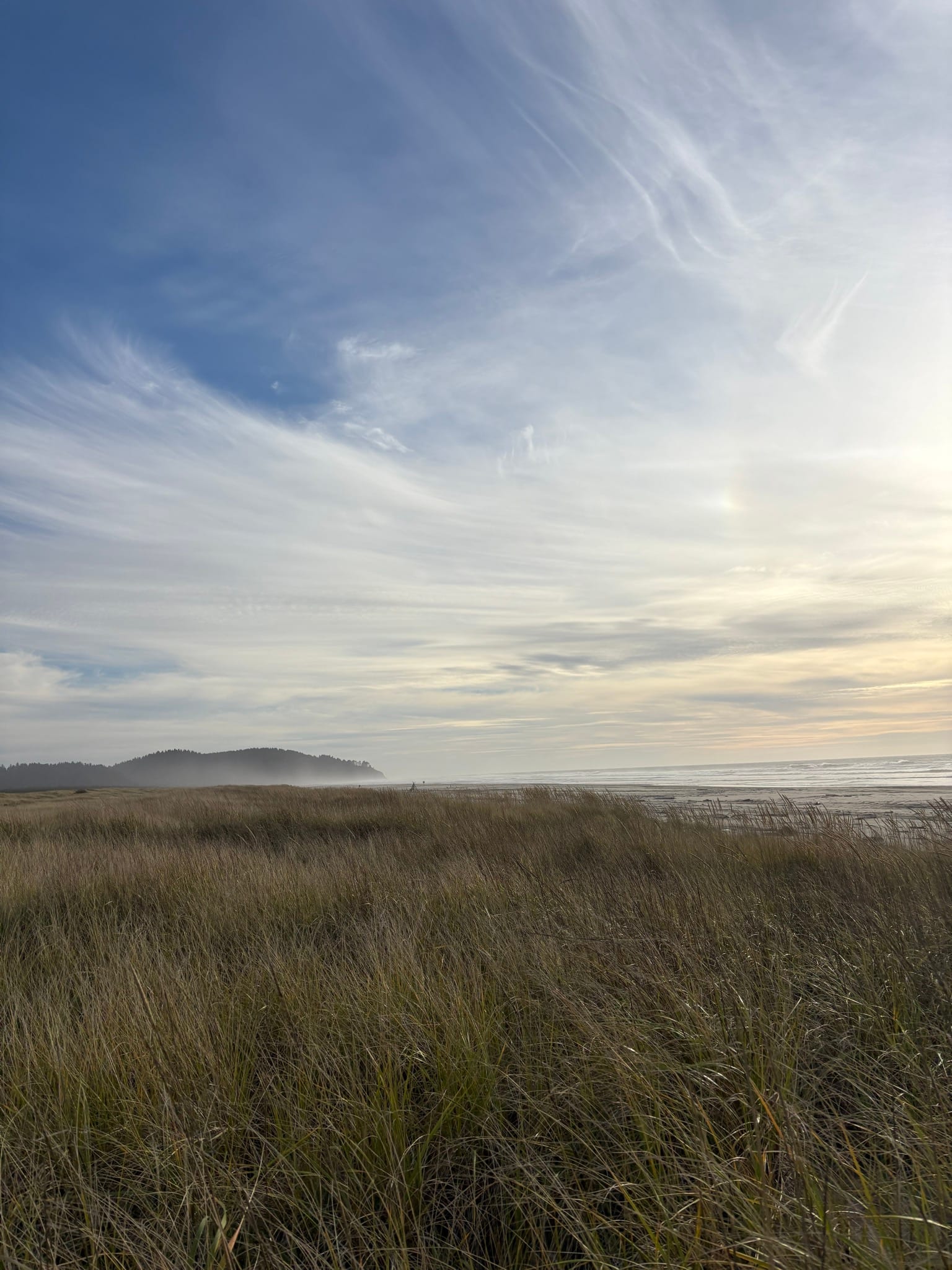 A photo of the sea with the top two thirds dominated by sweeping cirrus clouds. The bottom third is set in coastal seagrass with a sliver of ocean visible to the right.