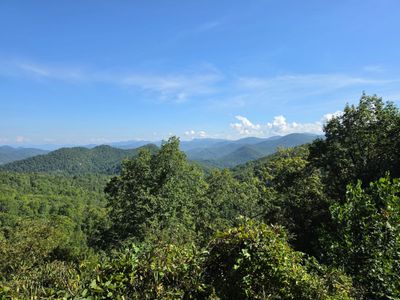 Landscape photo thick with lush green trees in the foreground and gentle sloping mountains in the background. There are a couple of low-hanging clouds toward the right.