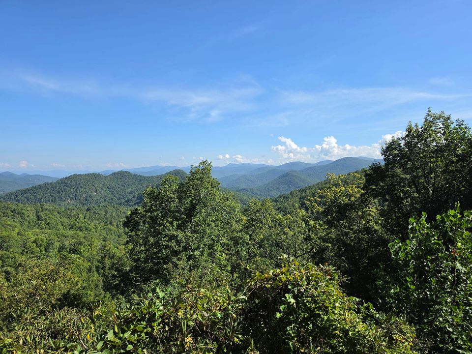 Landscape photo thick with lush green trees in the foreground and gentle sloping mountains in the background. There are a couple of low-hanging clouds toward the right.