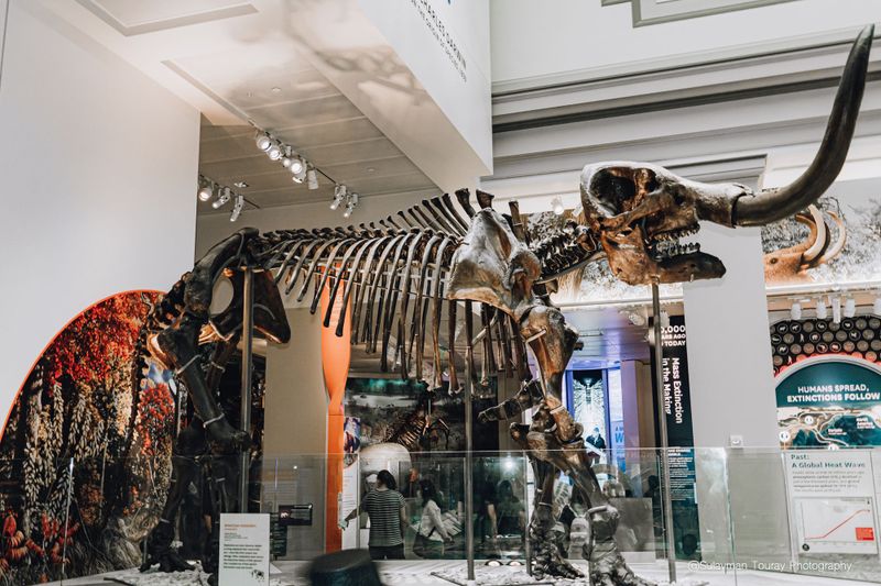 Museum, Ancient Artifacts post image