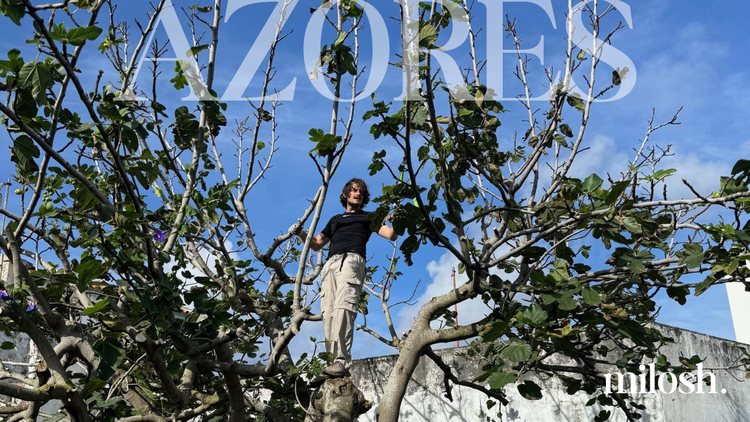 #35 | Building a Coliving Takes Time - Azores