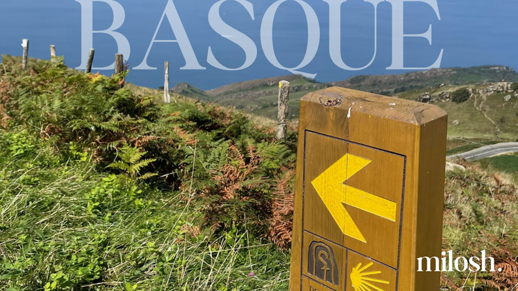 #21 | Camino del Norte I. - Just Get Moving - Basque Country