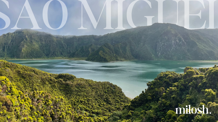 #27 | Annual Visit to Macaronesia - São Miguel