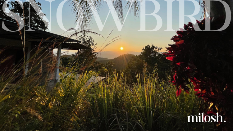 #37 | Snowbird Tourism - Seeking Sunshine When Cold Hits